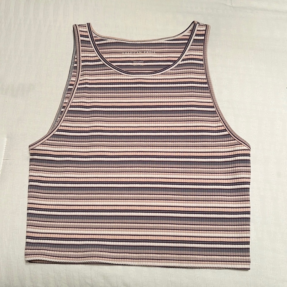 American Eagle Crop Top